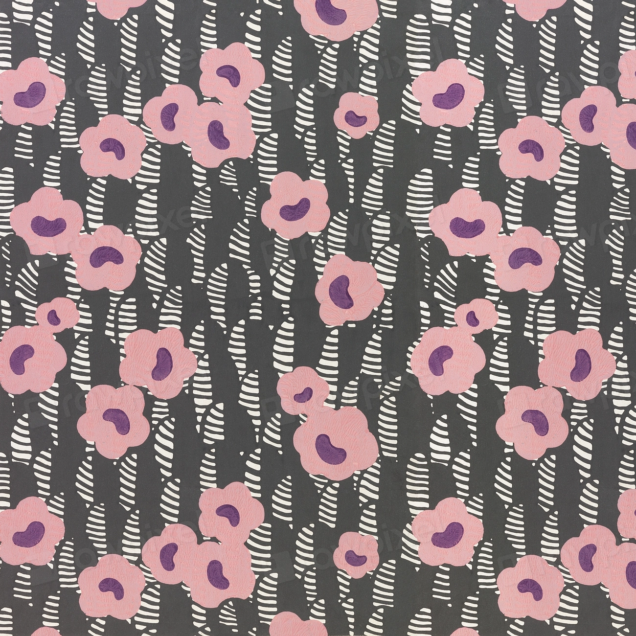 Delicate pink flowers argue with a monochrome background